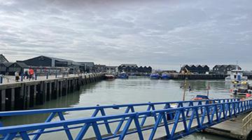 View of Whitstable Harbour 