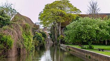 River Stour through Westgate Gardens